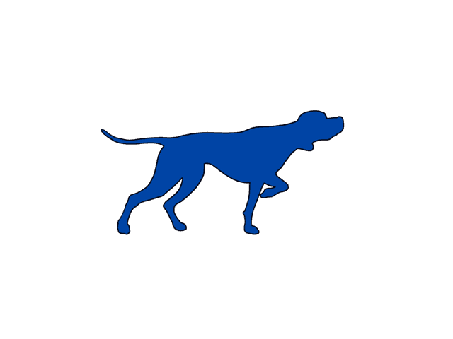 Logo Pointer